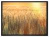 Getreidefeld auf Leinwandbild gerahmt Größe 80x60