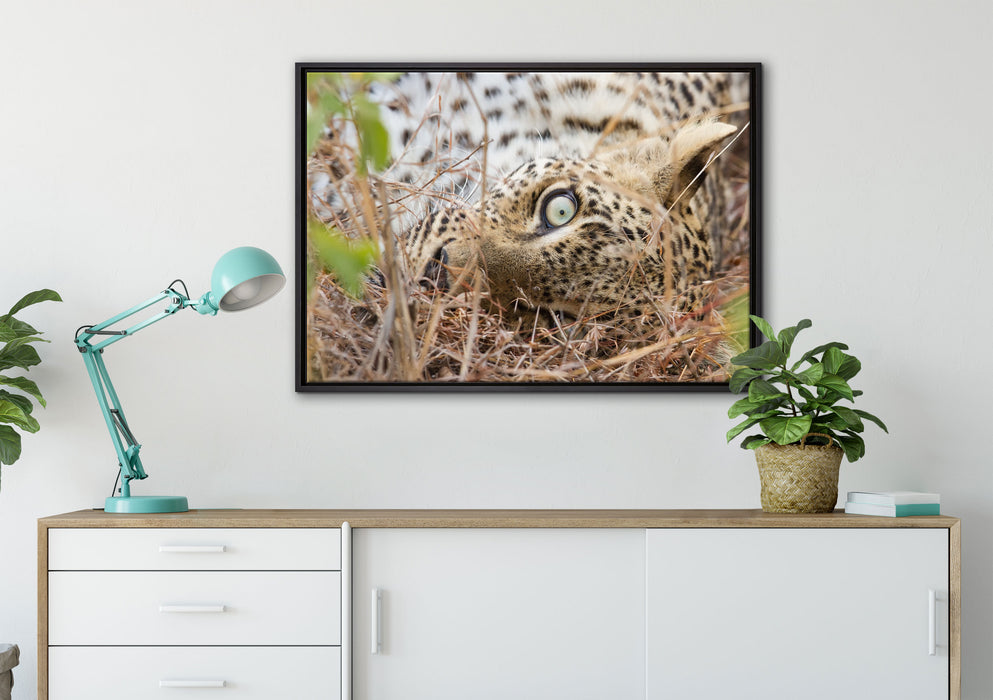 Leopard auf Leinwandbild gerahmt verschiedene Größen im Wohnzimmer