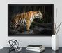 Tiger auf Leinwandbild gerahmt mit Kirschblüten