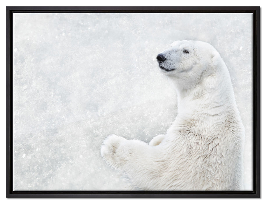 Stehender Eisbär auf Leinwandbild gerahmt Größe 80x60