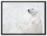 Stehender Eisbär auf Leinwandbild gerahmt Größe 80x60