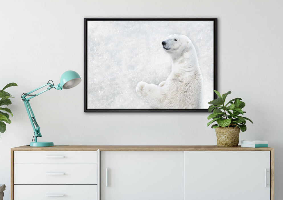 Stehender Eisbär auf Leinwandbild gerahmt verschiedene Größen im Wohnzimmer