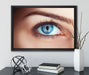 Auge einer Frau auf Leinwandbild gerahmt mit Kirschblüten