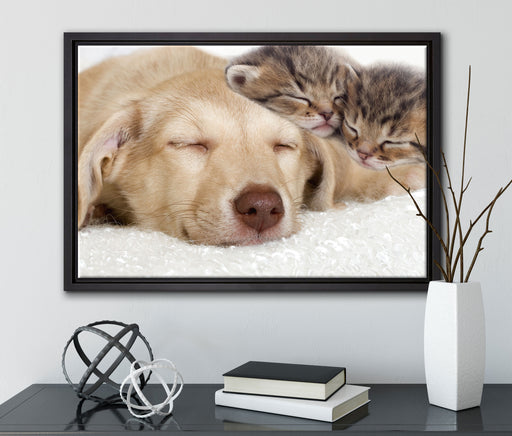 Kätzchen und Hund schmusend auf Leinwandbild gerahmt mit Kirschblüten