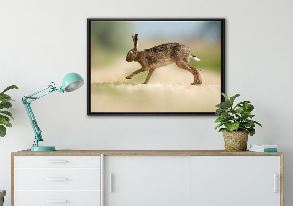 Hüpfender Hase auf Leinwandbild gerahmt verschiedene Größen im Wohnzimmer