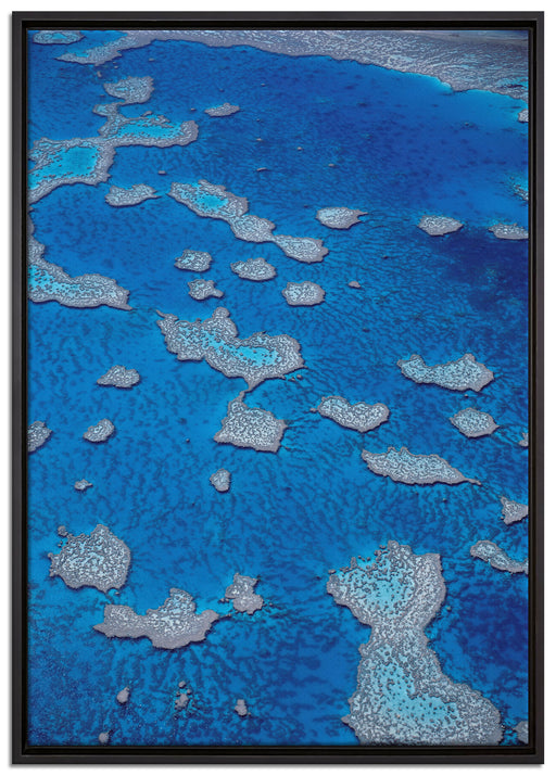 Korallenriffe Australien auf Leinwandbild gerahmt Größe 100x70