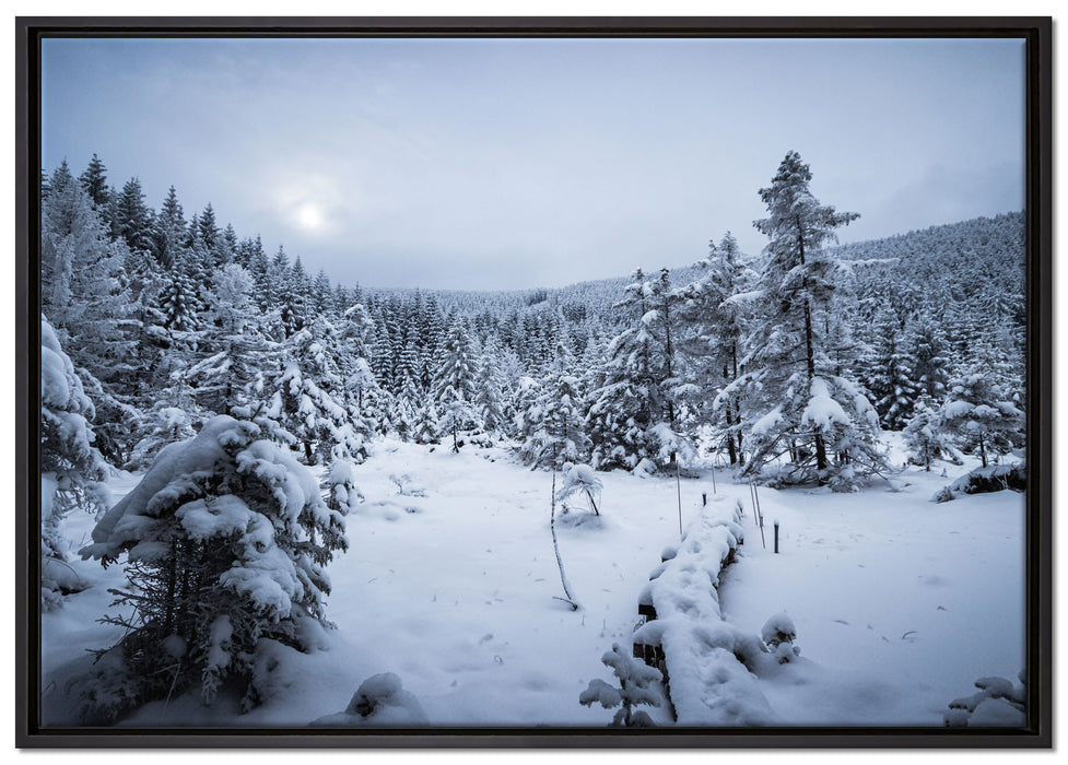 Winterlandschaft vereister See auf Leinwandbild gerahmt Größe 100x70