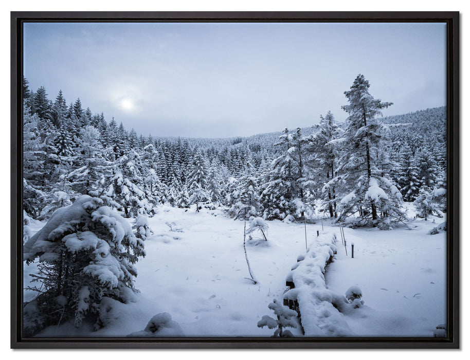 Winterlandschaft vereister See auf Leinwandbild gerahmt Größe 80x60