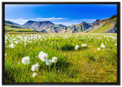Alpenwiese auf Leinwandbild gerahmt Größe 100x70