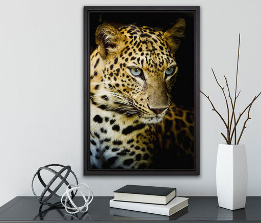 Leopard mit blauen Augen auf Leinwandbild gerahmt mit Kirschblüten