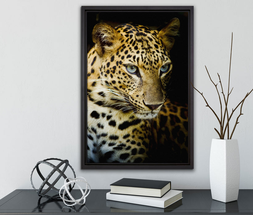 Leopard mit blauen Augen auf Leinwandbild gerahmt mit Kirschblüten