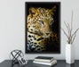 Leopard mit blauen Augen auf Leinwandbild gerahmt mit Kirschblüten