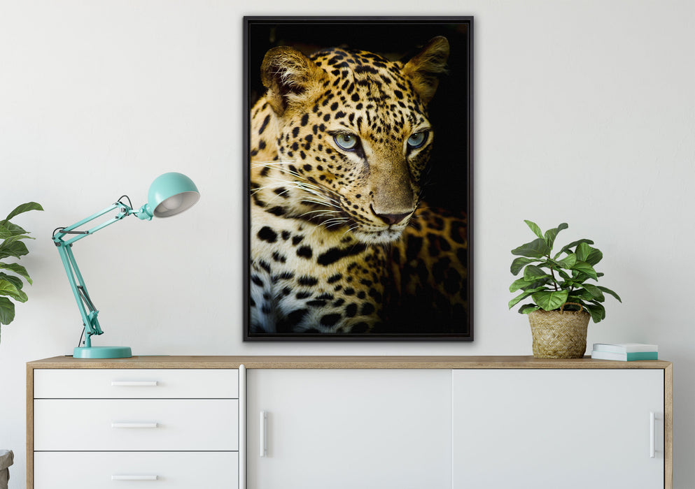 Leopard mit blauen Augen auf Leinwandbild gerahmt verschiedene Größen im Wohnzimmer