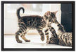 Fighting Cats auf Leinwandbild gerahmt Größe 60x40