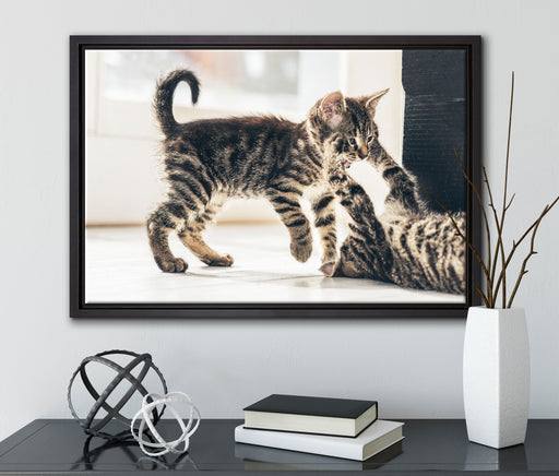 Fighting Cats auf Leinwandbild gerahmt mit Kirschblüten