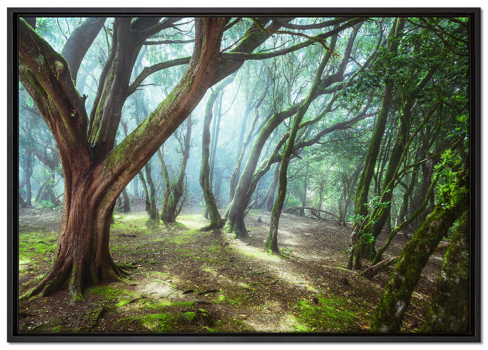 Wald auf Leinwandbild gerahmt Größe 100x70
