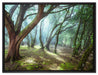 Wald auf Leinwandbild gerahmt Größe 80x60