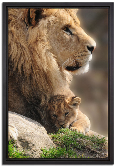 Löwe mit Löwenbaby auf Leinwandbild gerahmt Größe 60x40