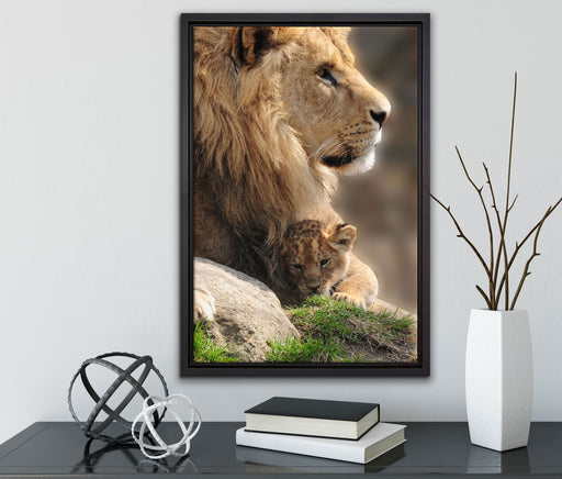 Löwe mit Löwenbaby auf Leinwandbild gerahmt mit Kirschblüten