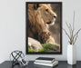 Löwe mit Löwenbaby auf Leinwandbild gerahmt mit Kirschblüten