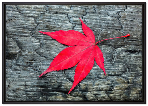 Blatt auf Holz Natur auf Leinwandbild gerahmt Größe 100x70