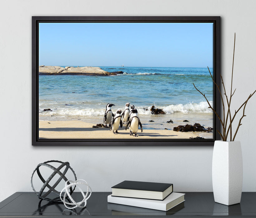 Pinguine am Strand auf Leinwandbild gerahmt mit Kirschblüten