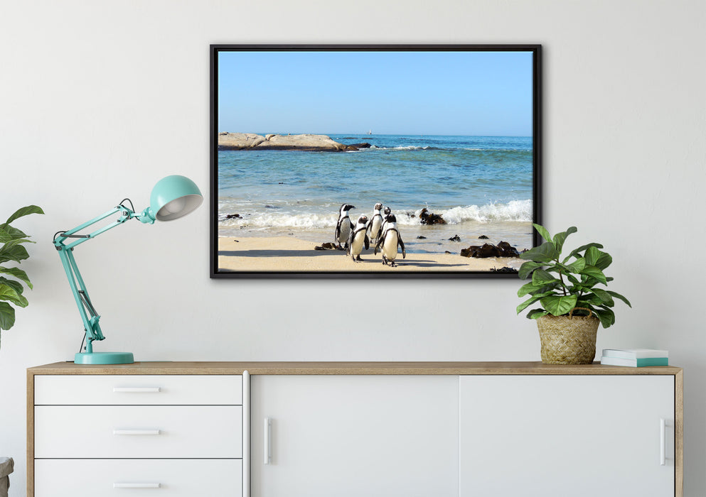 Pinguine am Strand auf Leinwandbild gerahmt verschiedene Größen im Wohnzimmer