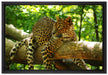 Leopard auf Ast auf Leinwandbild gerahmt Größe 60x40