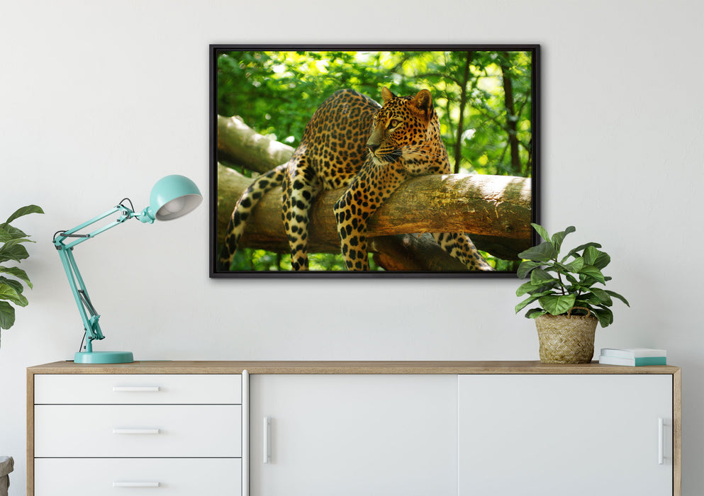 Leopard auf Ast auf Leinwandbild gerahmt verschiedene Größen im Wohnzimmer