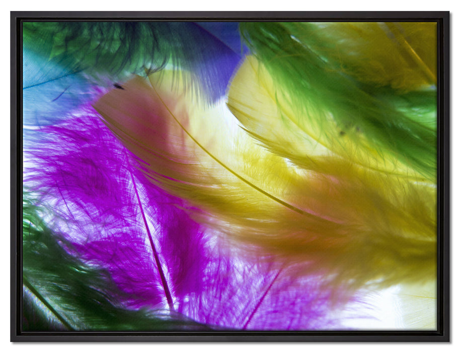 Bunte Federn auf Leinwandbild gerahmt Größe 80x60