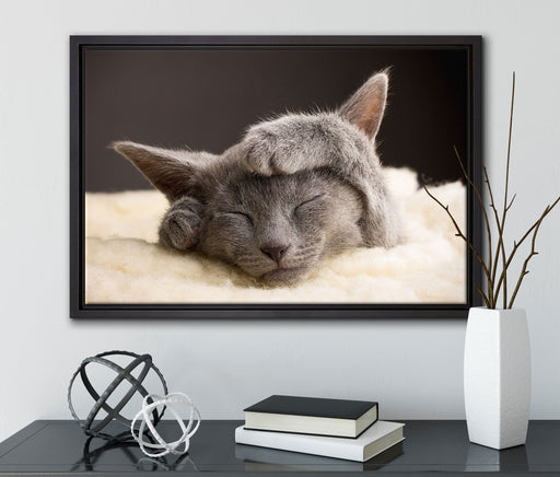 Süßes Kätzchen auf Leinwandbild gerahmt mit Kirschblüten