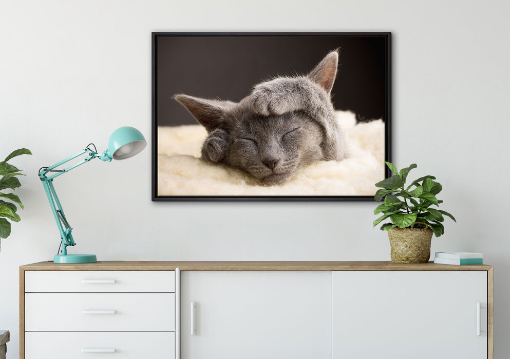 Süßes Kätzchen auf Leinwandbild gerahmt verschiedene Größen im Wohnzimmer
