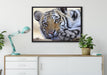 Tiger auf Leinwandbild gerahmt verschiedene Größen im Wohnzimmer