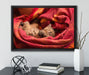 Babykatze auf Leinwandbild gerahmt mit Kirschblüten