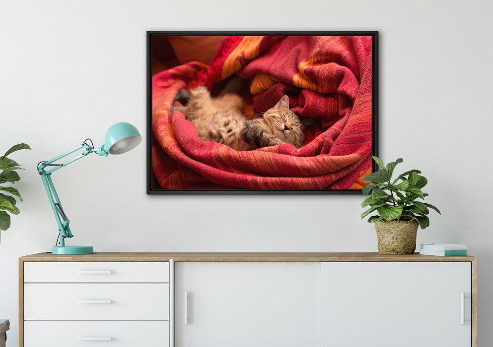 Babykatze auf Leinwandbild gerahmt verschiedene Größen im Wohnzimmer