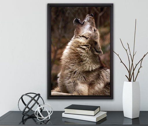 Heulende Wölfe auf Leinwandbild gerahmt mit Kirschblüten