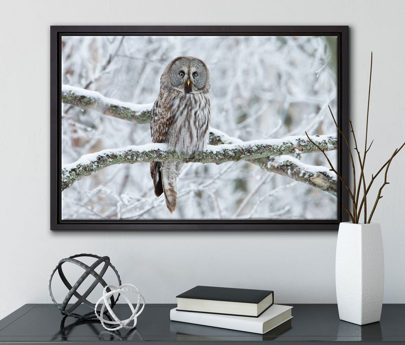 Eule auf Ast auf Leinwandbild gerahmt mit Kirschblüten