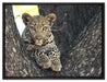 Leopardenbaby auf Leinwandbild gerahmt Größe 80x60