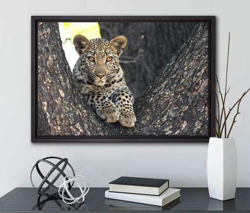 Leopardenbaby auf Leinwandbild gerahmt mit Kirschblüten