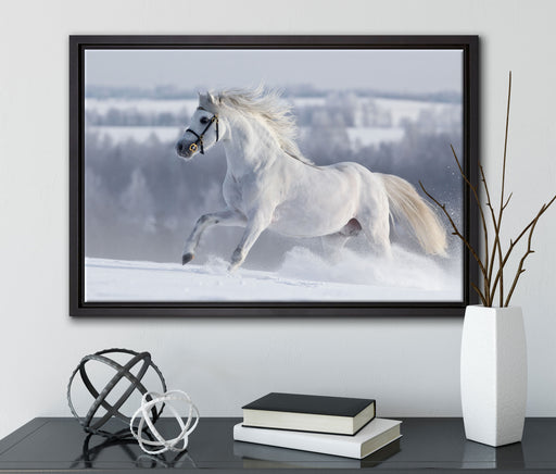 Weißes Pferd auf Schneewiese auf Leinwandbild gerahmt mit Kirschblüten