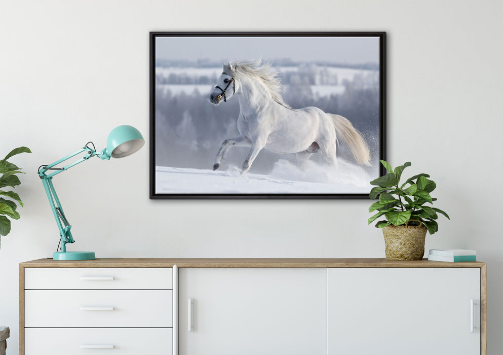 Weißes Pferd auf Schneewiese auf Leinwandbild gerahmt verschiedene Größen im Wohnzimmer