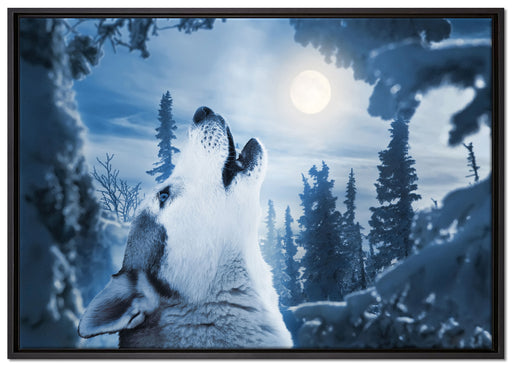 Wolf vor Mondlicht auf Leinwandbild gerahmt Größe 100x70