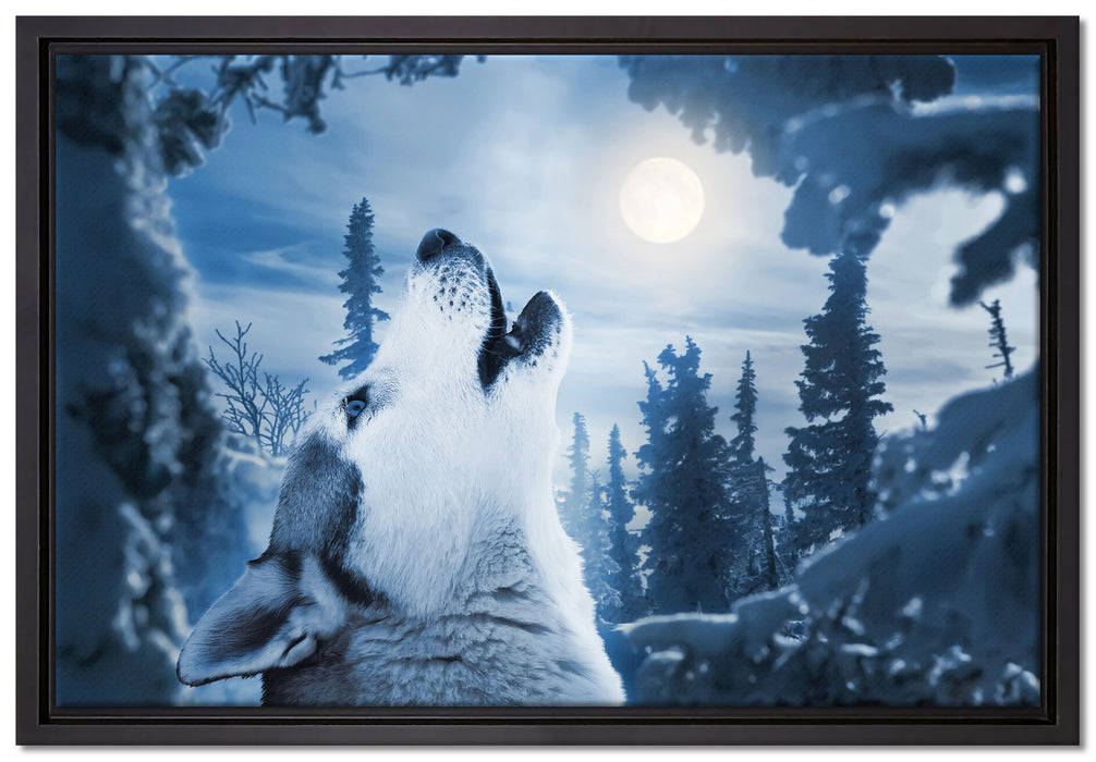 Wolf vor Mondlicht auf Leinwandbild gerahmt Größe 60x40