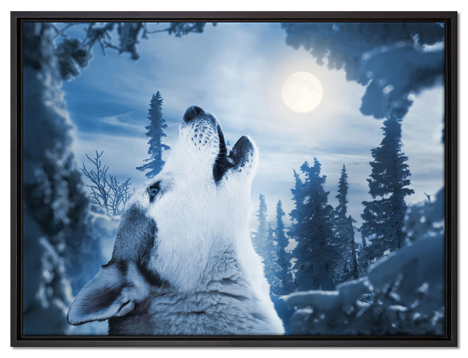 Wolf vor Mondlicht auf Leinwandbild gerahmt Größe 80x60
