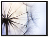 Weiße Pusteblumen auf Leinwandbild gerahmt Größe 80x60