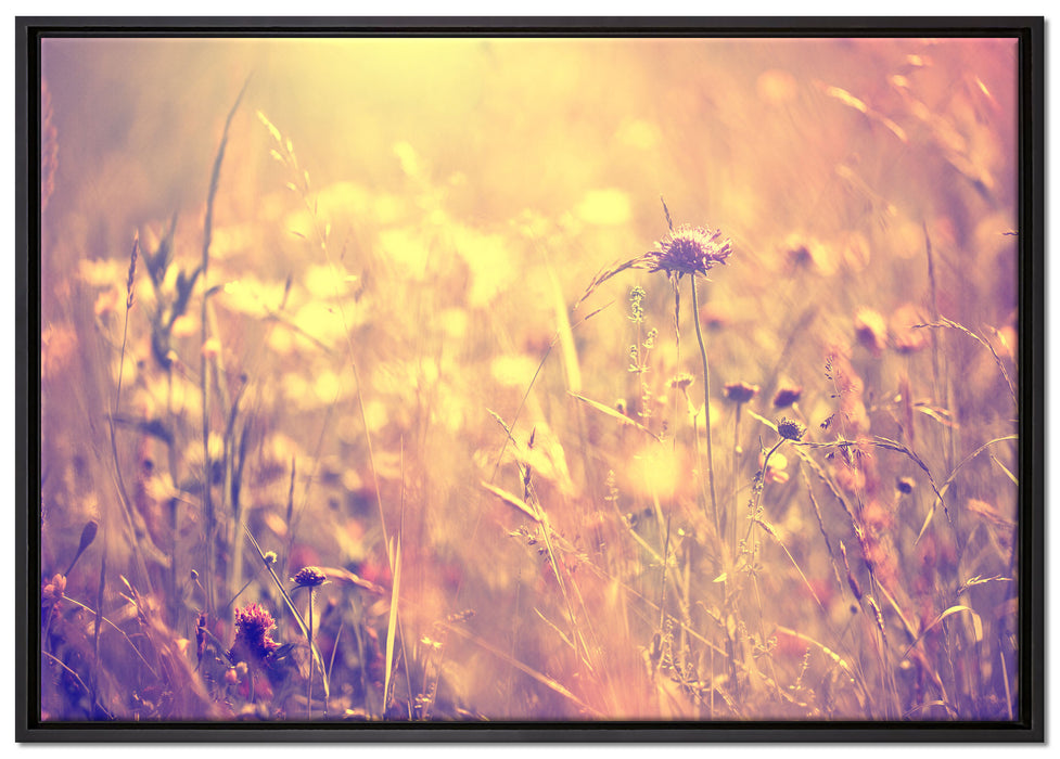 Bunte Gräser Pflanzen Natur auf Leinwandbild gerahmt Größe 100x70