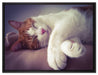 Katze mit Pfötchen auf Leinwandbild gerahmt Größe 80x60