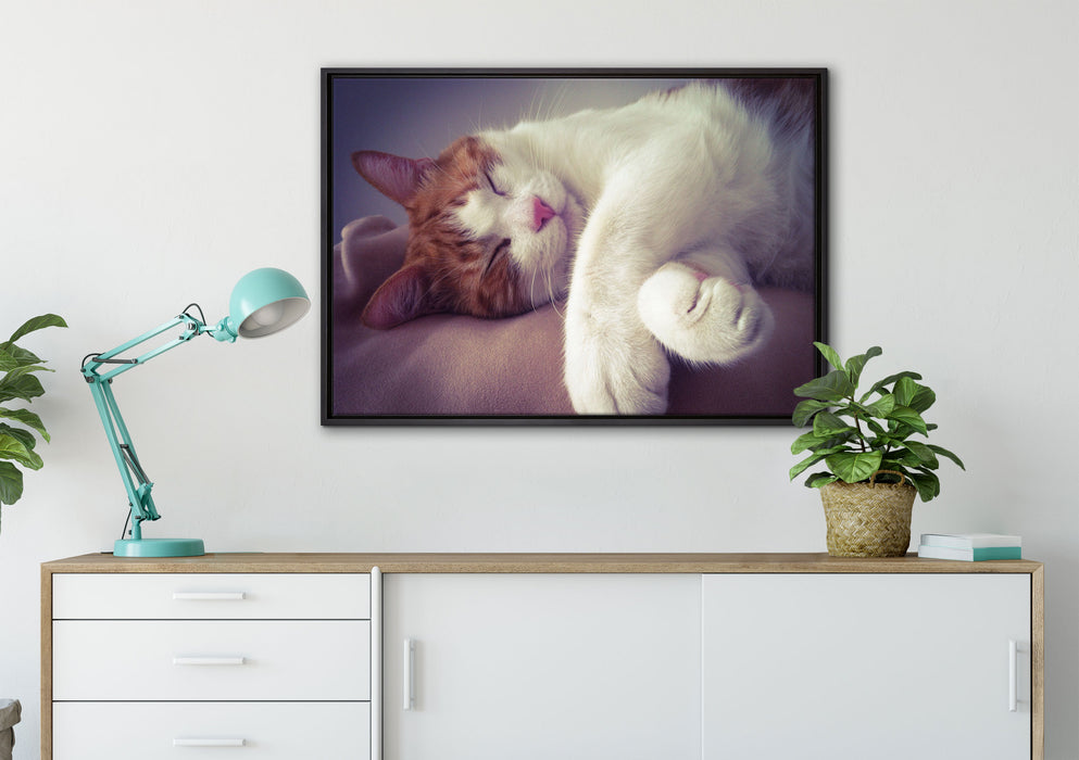 Katze mit Pfötchen auf Leinwandbild gerahmt verschiedene Größen im Wohnzimmer