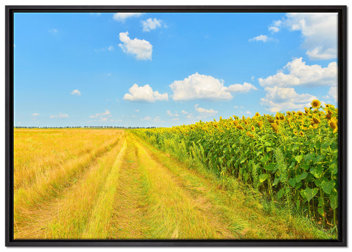 Feldweg am Wald auf Leinwandbild gerahmt Größe 100x70