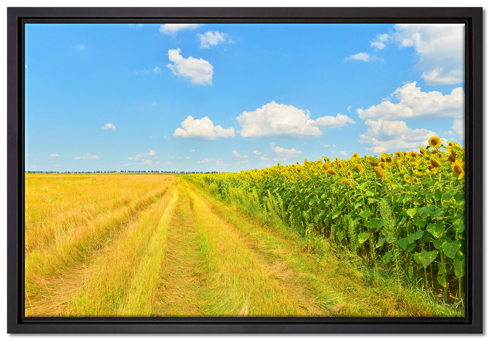 Feldweg am Wald auf Leinwandbild gerahmt Größe 60x40
